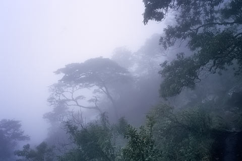 https://www.transafrika.org/media/Bilder Malawi/mulanje.jpg